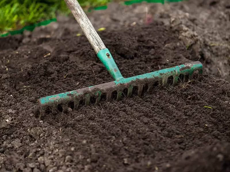 چگونه خاک را برای کاشت بذر چمن در پاییز آماده کنیم؟ of dashtesabz-shop more blog